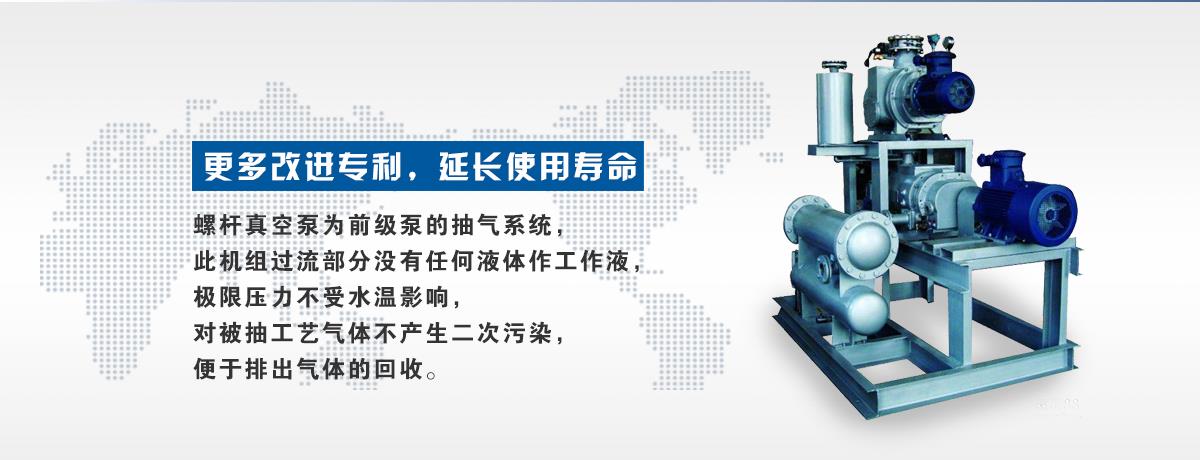 罗茨真空机组,罗茨真空机组厂家,罗茨真空机组厂家直销